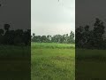 The Most Relaxing Rainy Day in the Countryside | गाँव के खेतों में एक शांत और सुकून भरी बरसाती सुबह