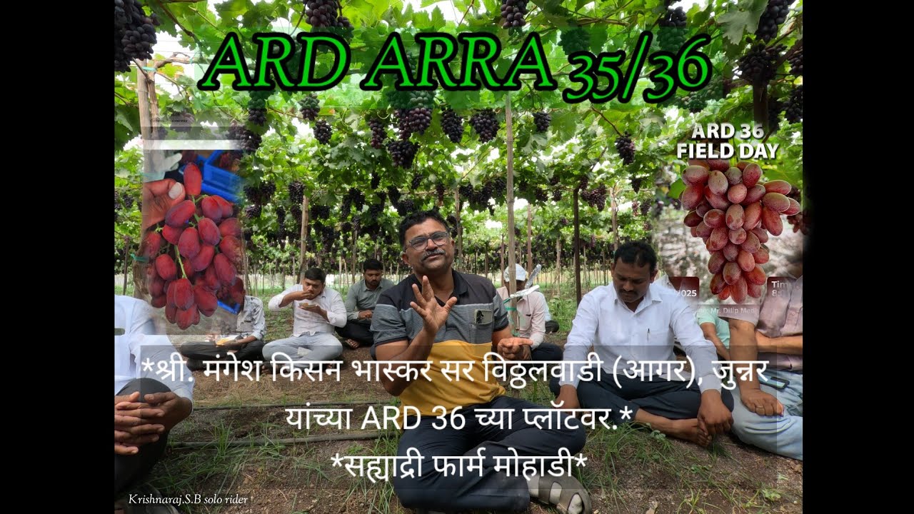 श्री मंगेश किसन भास्कर सर जुन्नर यांच्या ARD ARRA 35/36 च्या प्लॉटवर Visit (सह्याद्री फार्म मोहाडी)