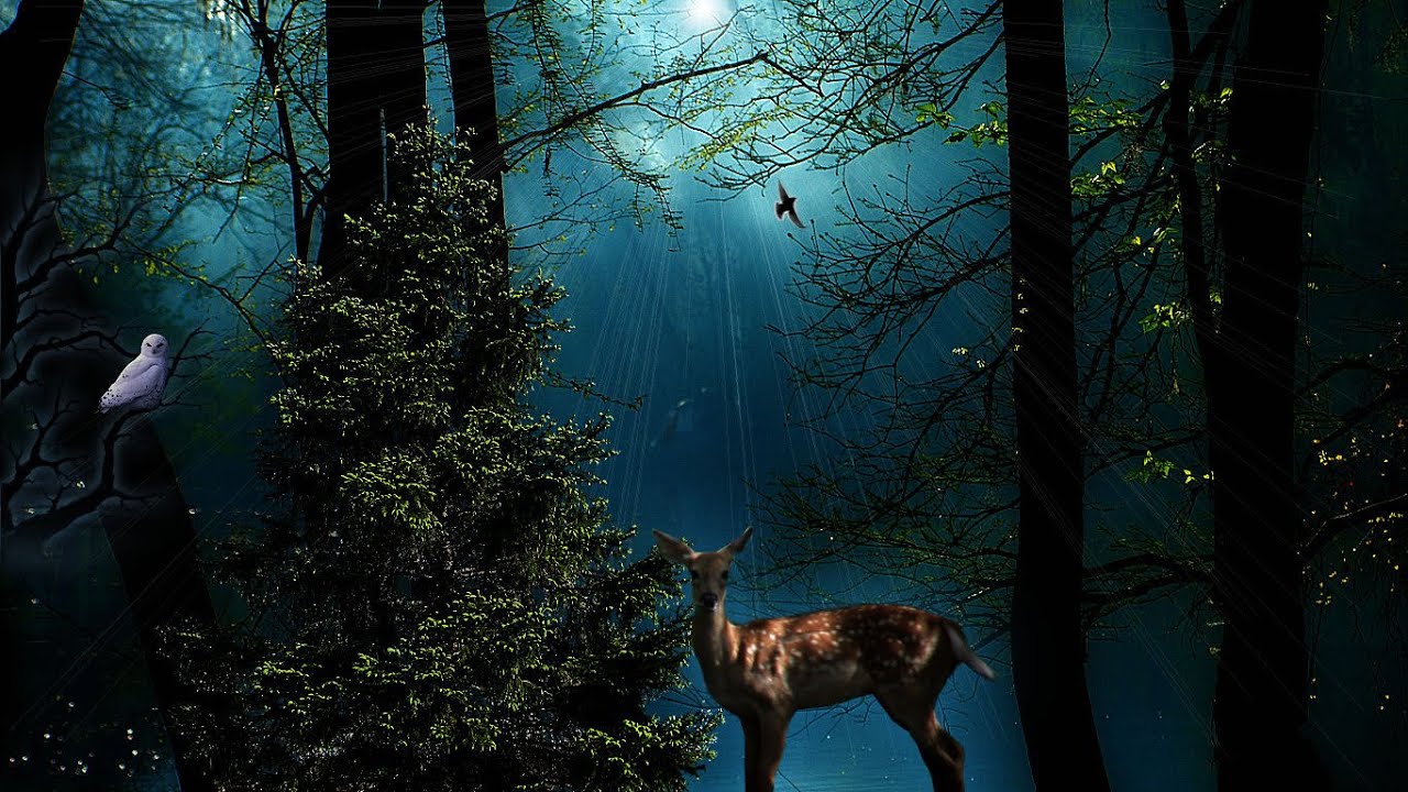 Can't Sleep? Dreamy Sleep Relaxation, Softly Spoken | ASMR