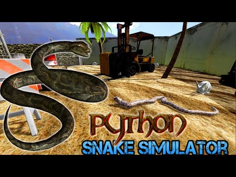 Python Snake Simulator Gameplay