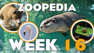 🦦 OTTERLY PREPOSTEROUS! | Zoopedia Drop #16 | Planet Zoo 2