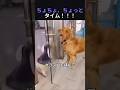 ちょちょ、ちょっとタイム!