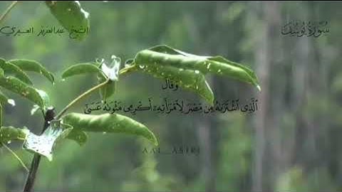 سورة يوسف كاملة #رمضان 1446 ه‍