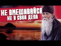 Не должно Вступаться не в свои Дела - Амвросий Оптинский