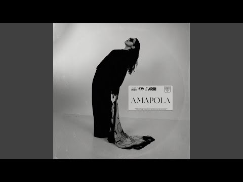 Amapola