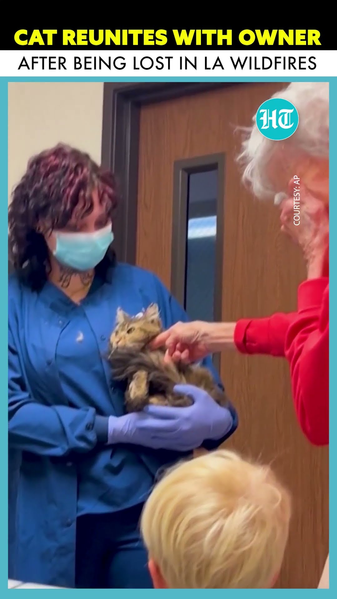 Cat Reunited With Owner Two Months After Surviving LA Wildfires #ytshorts