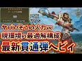 火力ヤバすぎるｗ最新型貫通ヘビィのご紹介【MHWilds】【モンスターハンター】【ワイルズ】