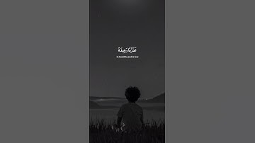 اكتب شيء تؤجر عليه 😴💚 #القارئ ياسر الدوسري