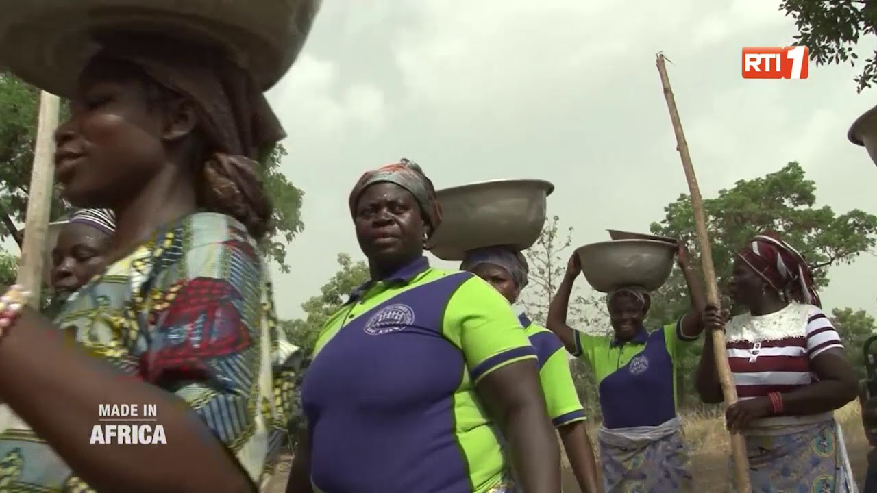 #MADEINAFRICA  Sweet Benin, le pari de la pomme de Cajou
