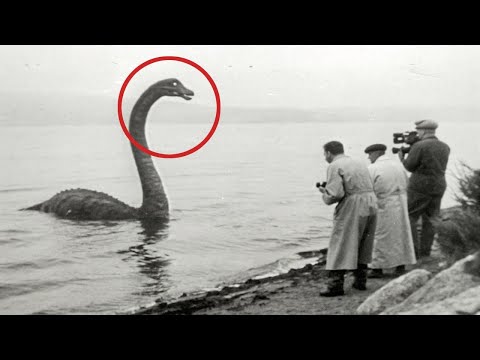 العلماء ينجحون أخيرا في حل لغز وحش بحيرة لوخ نيس 