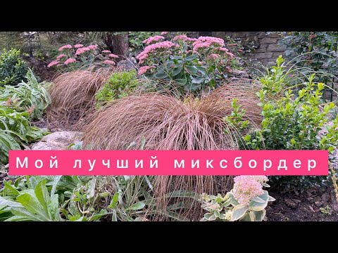 Видео: Легла и миксбордери от нискорастящи цветя