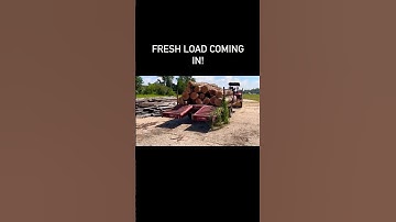 #shorts #louisiana #cypress #sawmill #logs #work #action #like #subscribe #comment