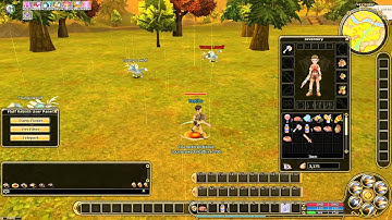 Flyff Rebirth Test