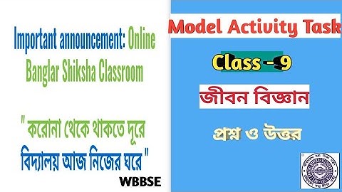 Class 9 Life Science Model Activity Task Answer/WBBSE Class IX Life Science Model Activity Task Ans
