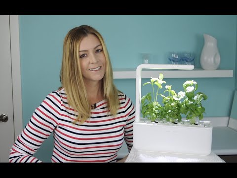 Click and Grow Smart Garden 3 review