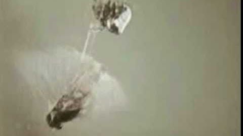 Understanding Evolution