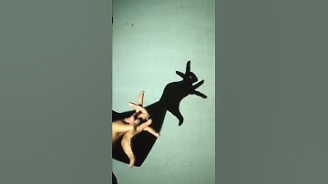 rabbit by hand shadow #shorts