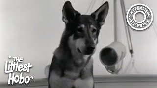 Blue Water Sailor | The Littlest Hobo (1963) | S1E1 | Remastered