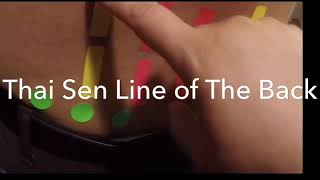 Thai Energy Lines of The Back