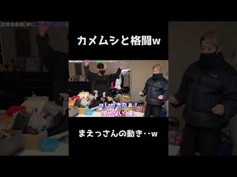 カメムシと格闘w