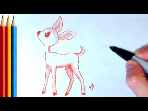 How to Draw Deer - Step by Step Tutorial - YouTube