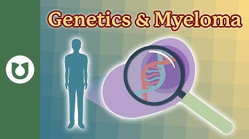 Why Genetics Matter in Myeloma: Key Subgroups Explained