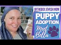 We Adopted a Puppy | Adopting a Rescue Lab Mix | Meet Bella | Orthodox Jewish Mom (Jar of Fireflies)