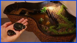 My New Indoor TURTLE POND Setup! by Carson’s Aquatics 84,192 views 1 year ago 11 minutes, 41 seconds