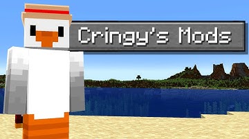 What mods does CringyGull use?