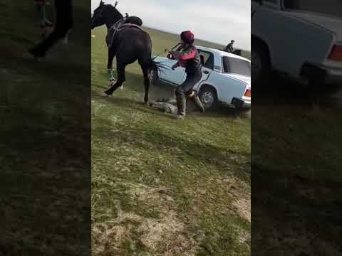 Лошадь 🐎 попала в ДТП в Казахстане #shorts