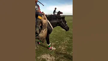 Лошадь 🐎 попала в ДТП в Казахстане #shorts