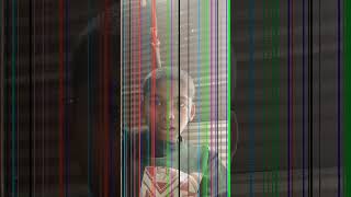 Broken LCD Screen shot