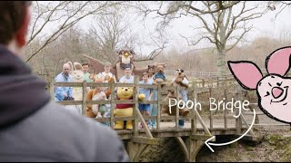 Winnie The Pooh in The Hundred Acre Wood