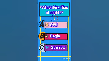 can you solve this quiz in 5 second 🧠🤯#quiz#english #gk #gkquestions #learnenglish #testandlearn