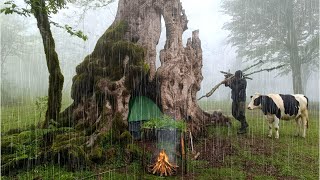 Solo Camping Inside a Strange Tree Trunk in Rain and Fog – An Incredible Survival Adventure - ASMR