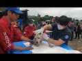 They Saved 300 Dogs From Korea's Worst Puppy Mill | The Reality Is Disturbing