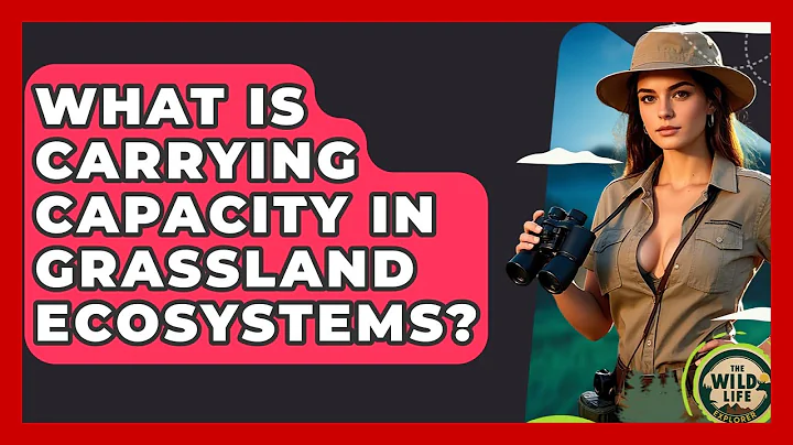 What Is Carrying Capacity In Grassland Ecosystems? - The Wild Life Explorer