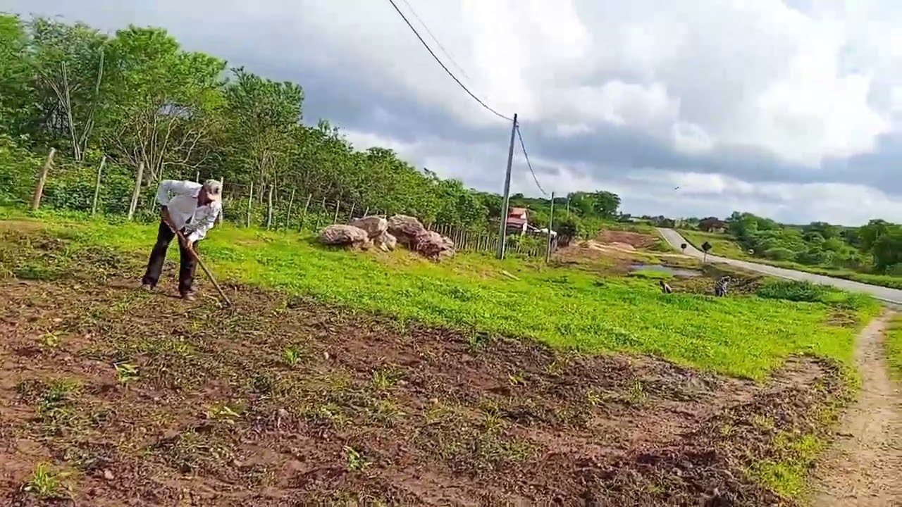 Meu esposo veio ajudar o sogro na roça.