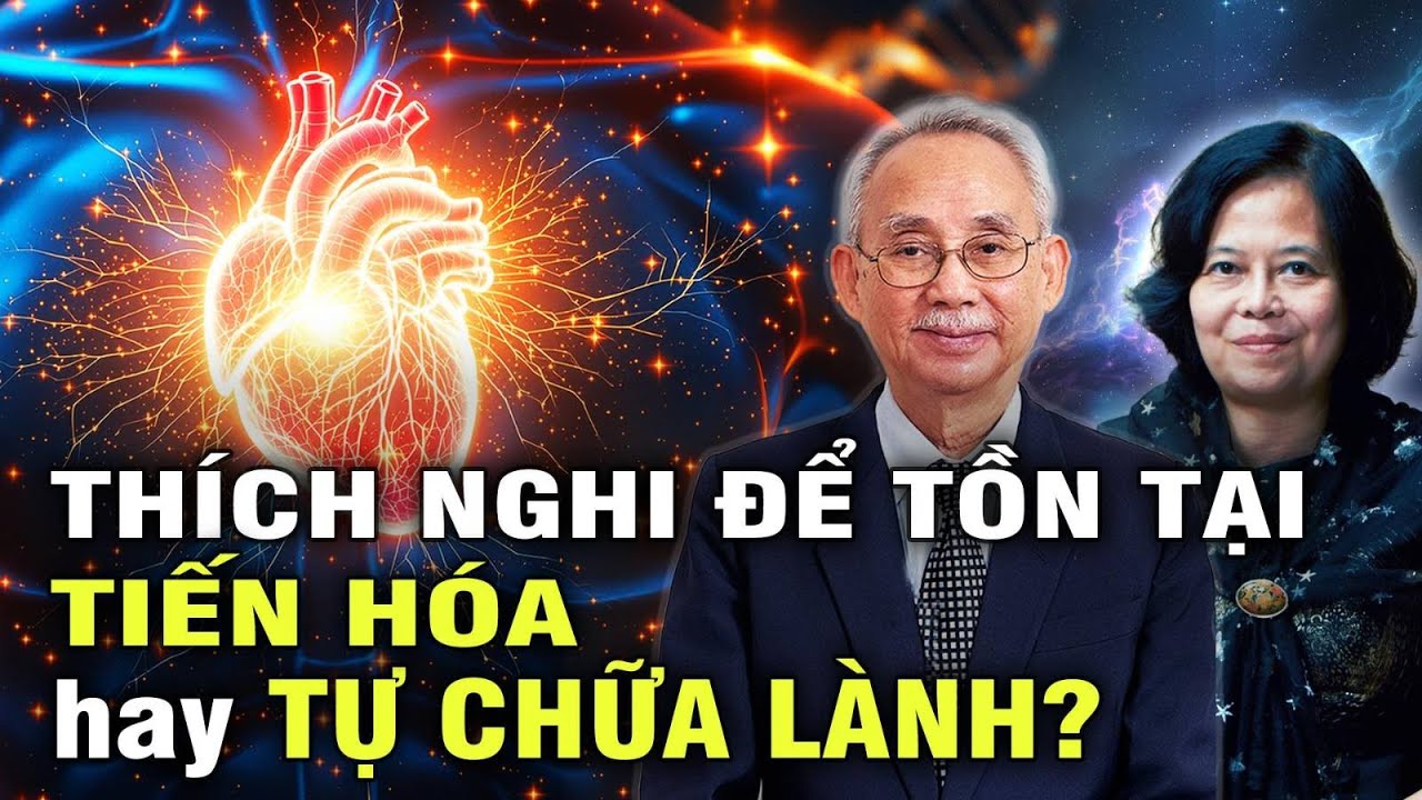 🔥 Khả Năng TỰ CHỮA LÀNH: Bí Ẩn Cơ Thể Và THÔNG TIN Vũ Trụ | Giải Mã Bí Ẩn Nhân Loại T4