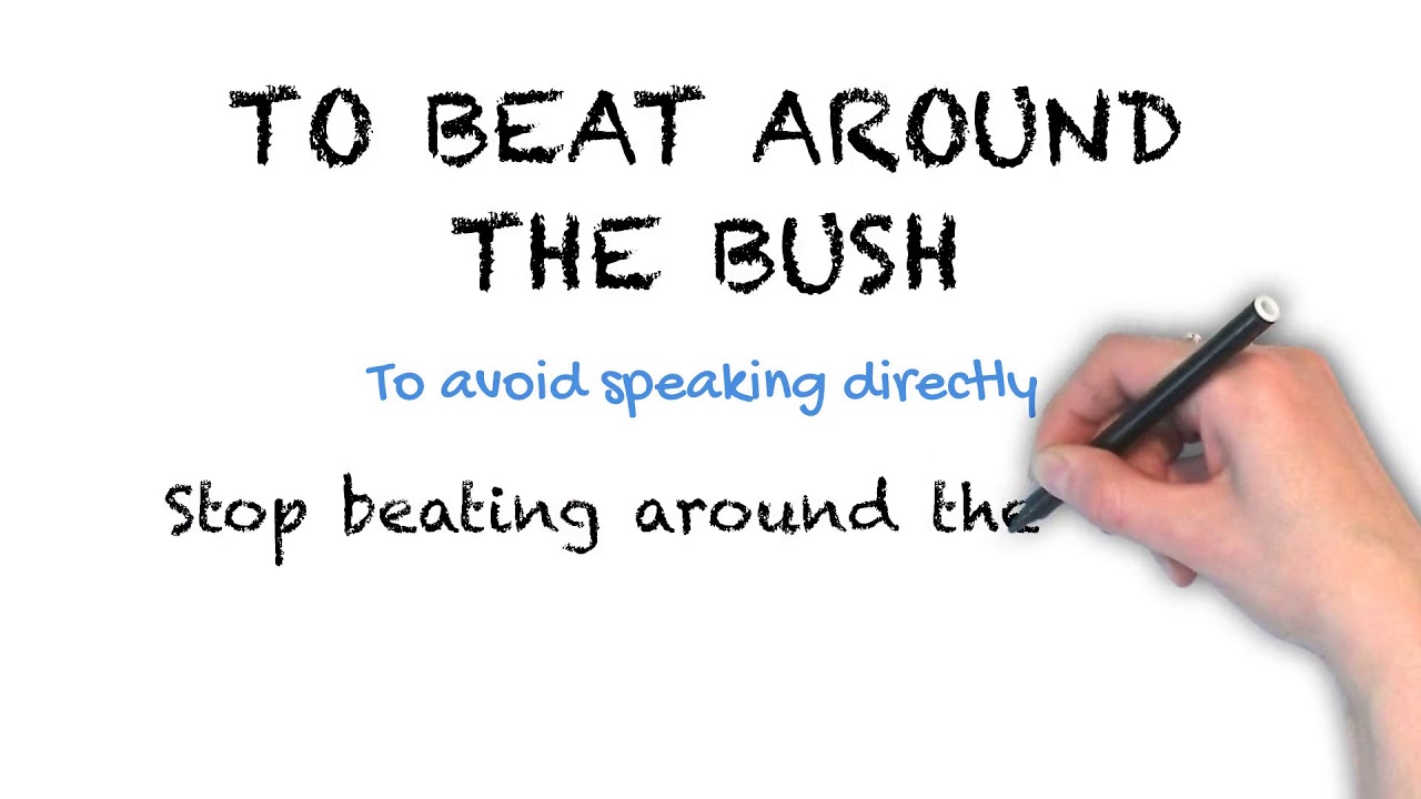 beat around the bush idiom