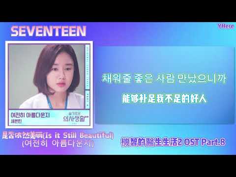 [中韓歌詞] SEVENTEEN(세븐틴) - '是否依然美丽(Is it Still Beautiful)(여전히 아름다운지)‘ (機智的醫生生活2 OST Part.8)(中字)