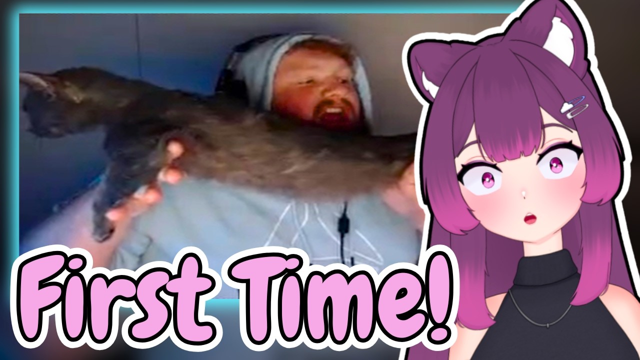 Лая отреагировала на "видеоролики, которые сделали CaseOh знаменитым".