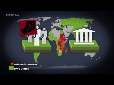 Land Grabbing und die Folgen für Afrika (Arte &#039;Mit offenen Karten&#039;)