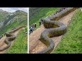15 Abnormally Large Snakes That Actually Exist