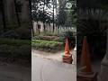 Shree Ramkrisna math flowers garden #youtubeshorts @suklachatterjee2959