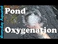 How To Aerate & Oxygenate Your Pond