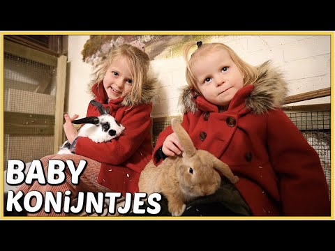 Gasunie Waterstof Netwerk Event