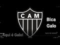 Bica galo 2022