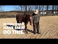 One of the most important lessons your horse will ever have