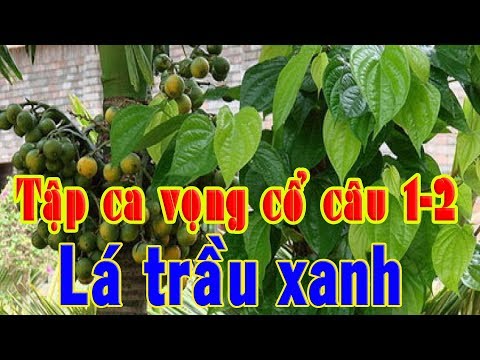 Tập ca vọng